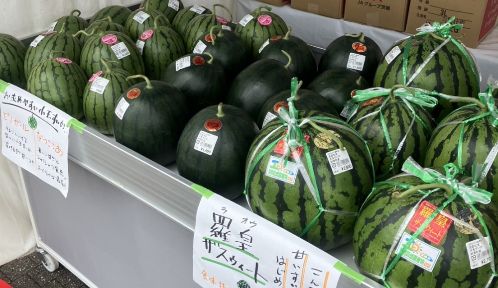 🌞初夏のまい・あみ・マルシェ2025 開催のお知らせ🌽🍉🍈を見る